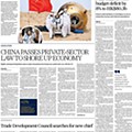 3 scmp (3).jpg